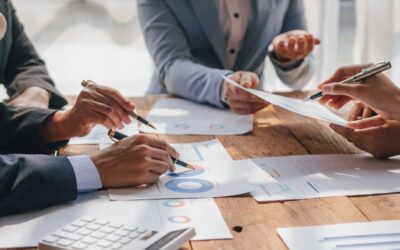 ​What Legal Protections Exist for Minority Shareholders?