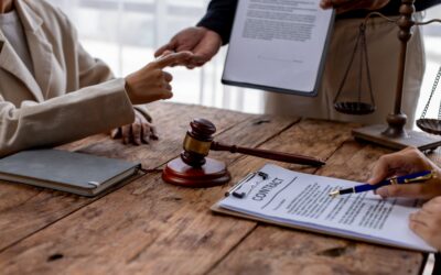 ​Is Suing a Business Partner the Right Move for My Company?